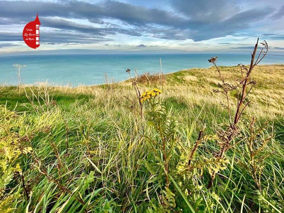 Villa Saint Jacques, Appart La Mer Le Tréport Buitenkant foto